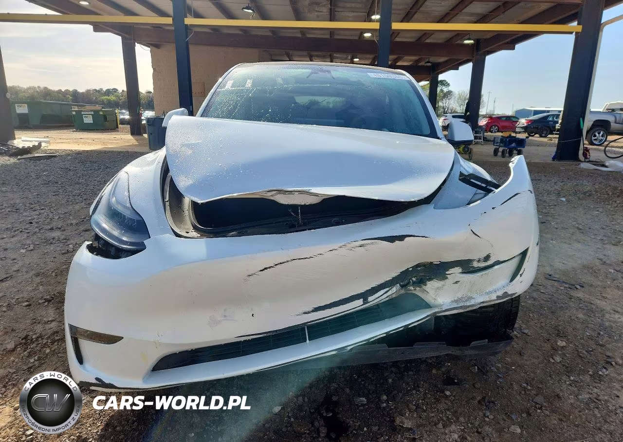 2023 Tesla Model Y VIN:7SAYGAEEXPF598556 - 5