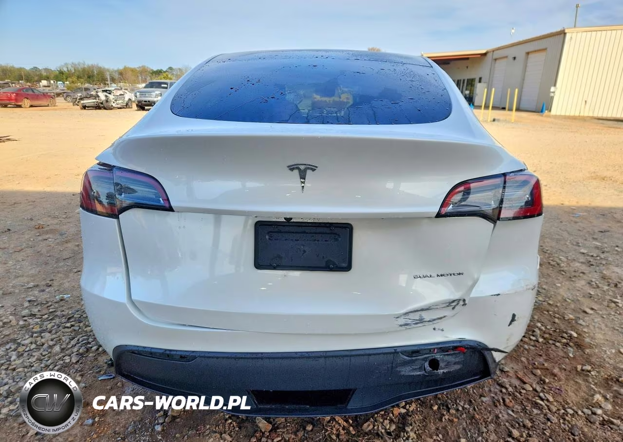 2023 Tesla Model Y VIN:7SAYGAEEXPF598556 - 6