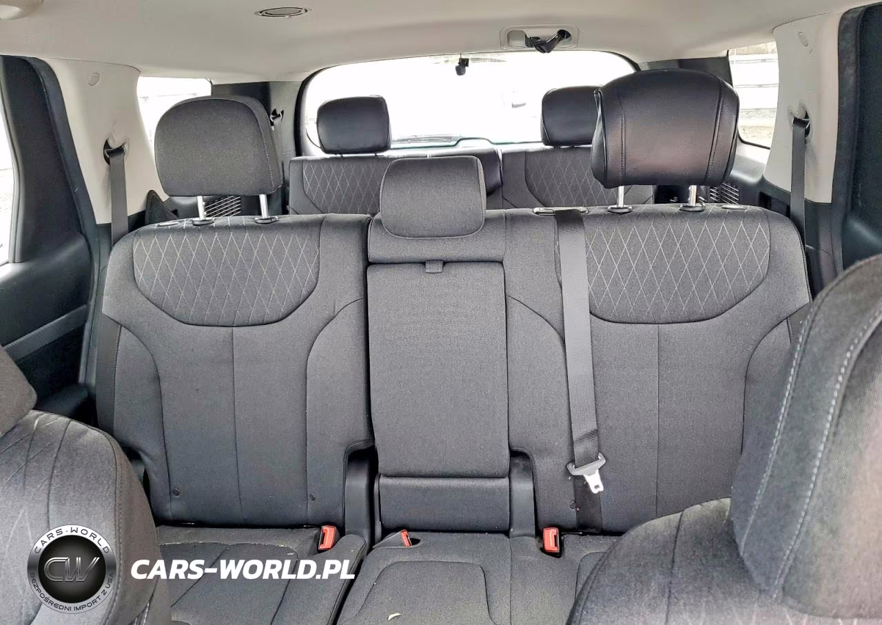 2020 Hyundai Palisade Se VIN:KM8R1DHE6LU089576 - 10