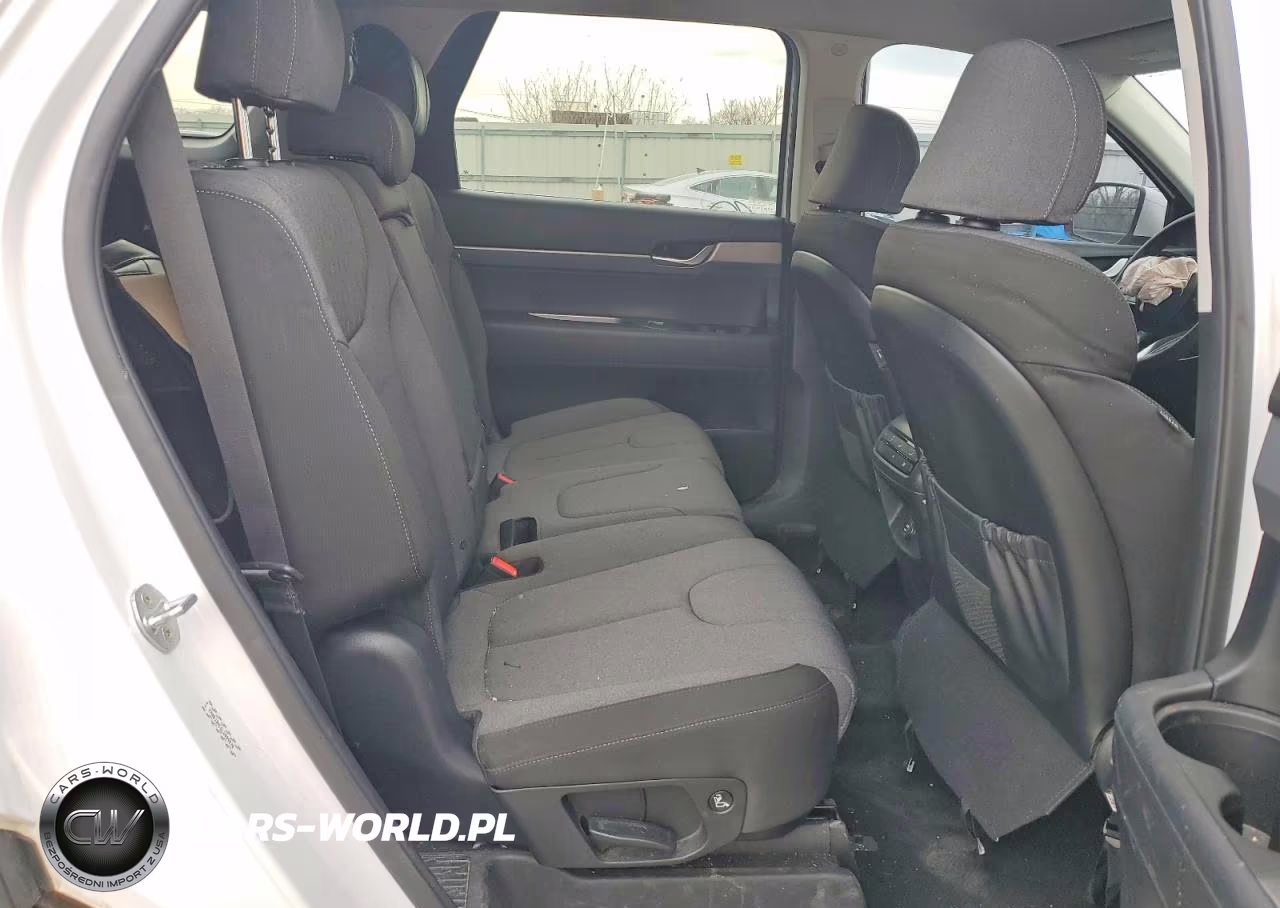 2020 Hyundai Palisade Se VIN:KM8R1DHE6LU089576 - 11