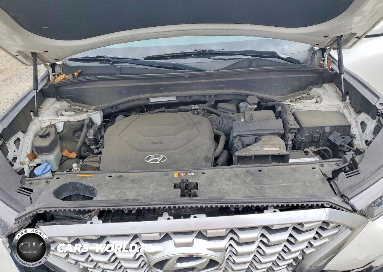 2020 Hyundai Palisade Se VIN:KM8R1DHE6LU089576 - 12