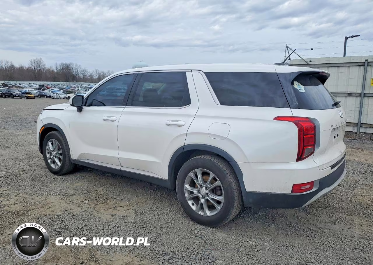 2020 Hyundai Palisade Se VIN:KM8R1DHE6LU089576 - 2