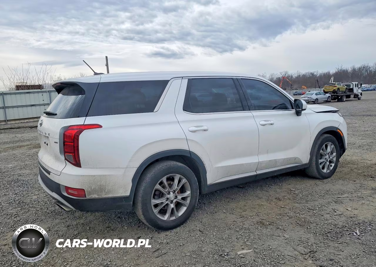 2020 Hyundai Palisade Se VIN:KM8R1DHE6LU089576 - 3