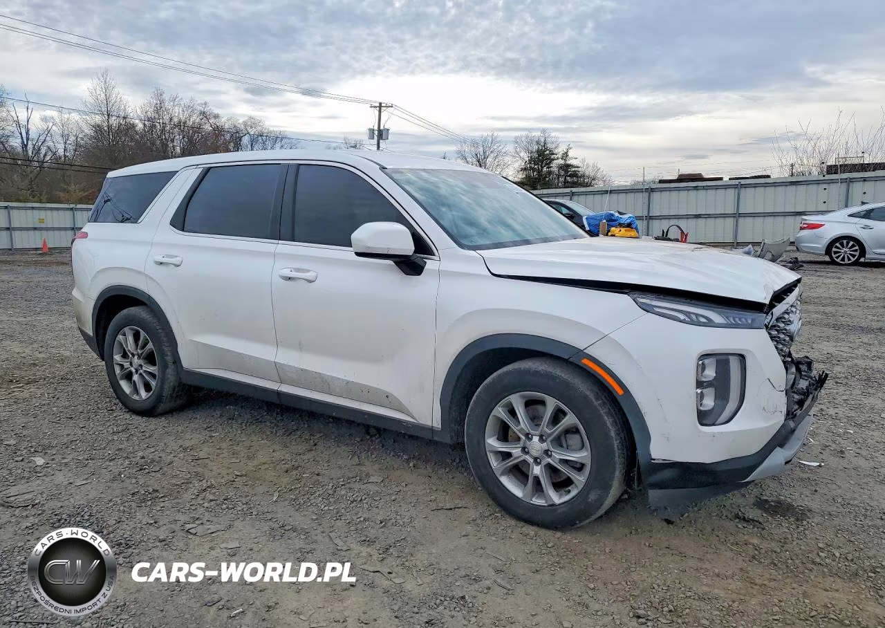 2020 Hyundai Palisade Se VIN:KM8R1DHE6LU089576 - 4
