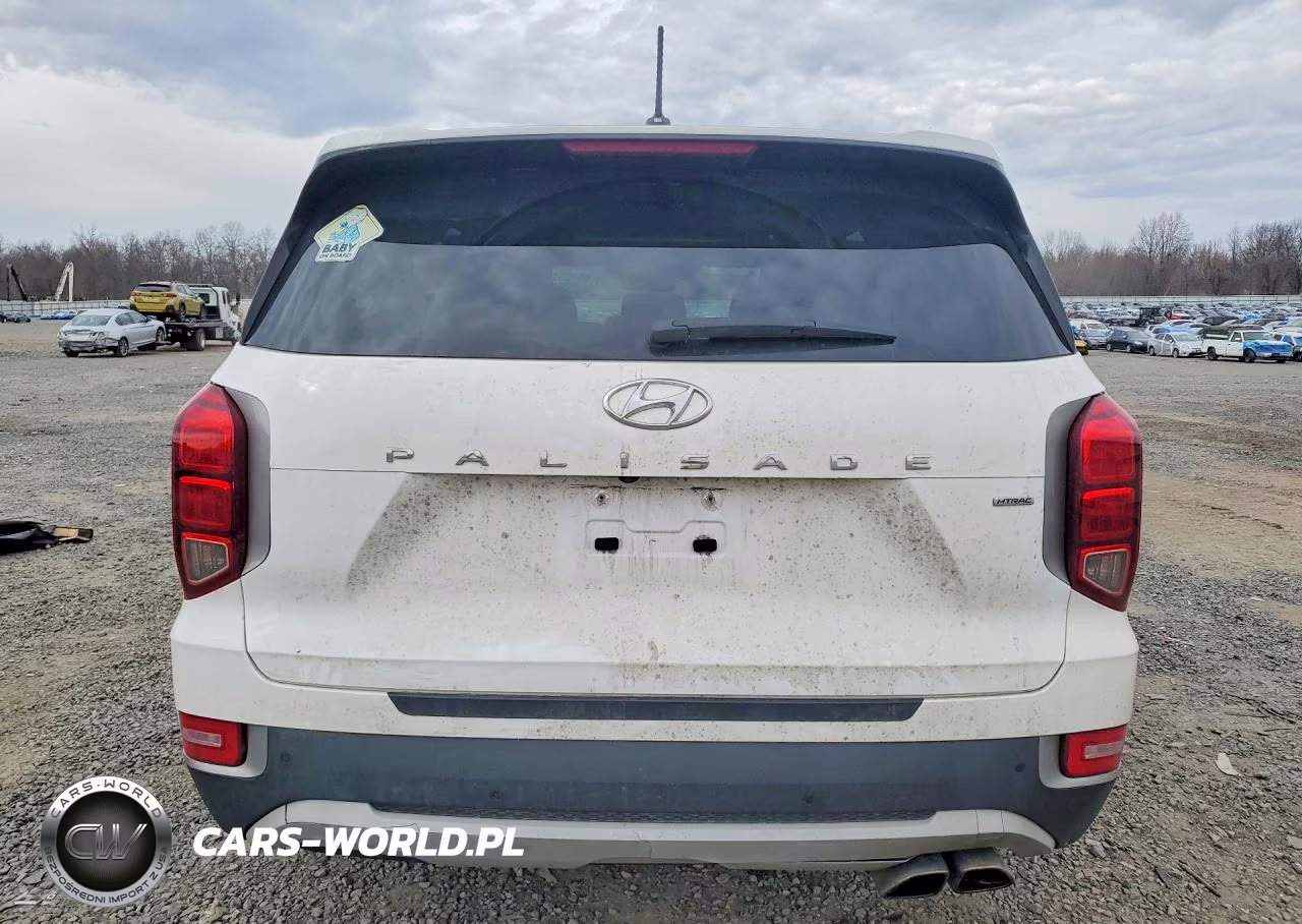 2020 Hyundai Palisade Se VIN:KM8R1DHE6LU089576 - 6