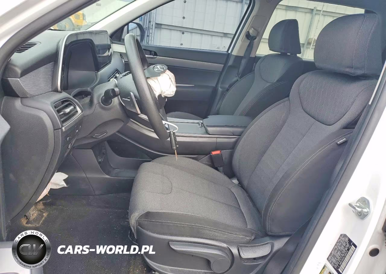 2020 Hyundai Palisade Se VIN:KM8R1DHE6LU089576 - 7