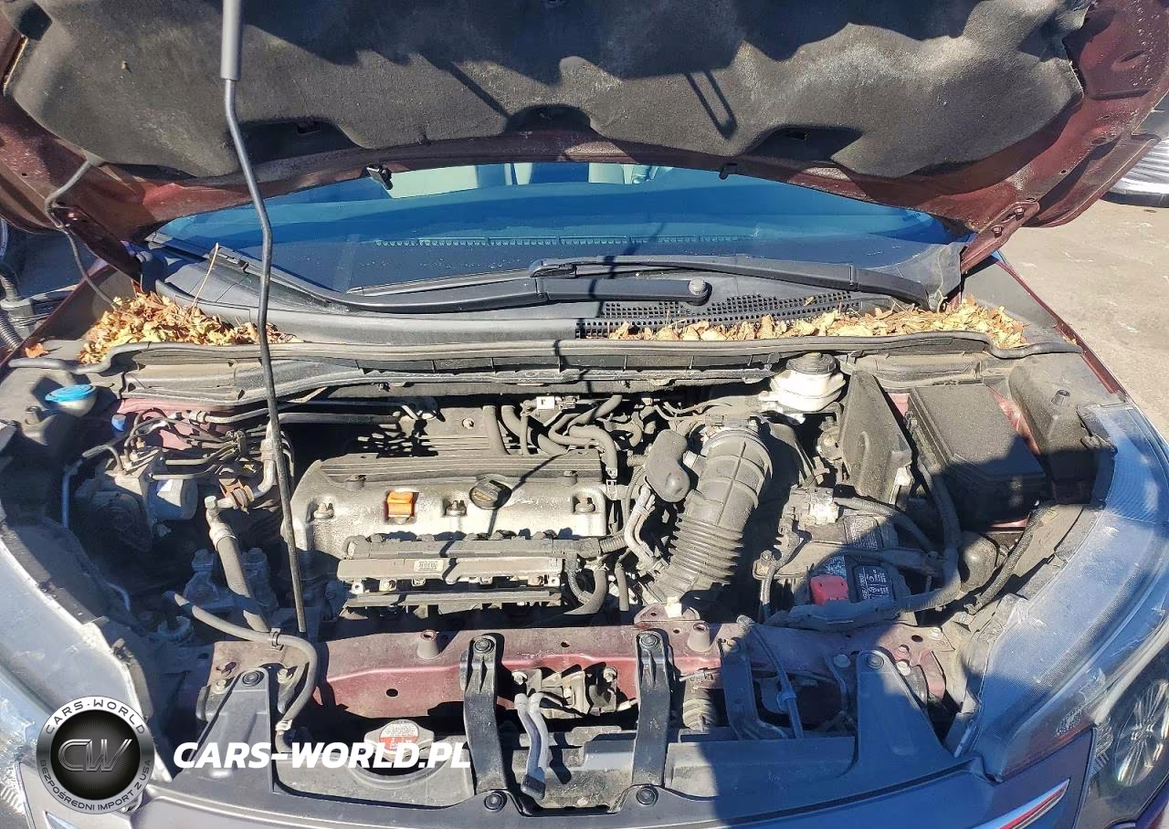 2014 Honda Cr-V VIN:5J6RM4H59EL006429 - 11