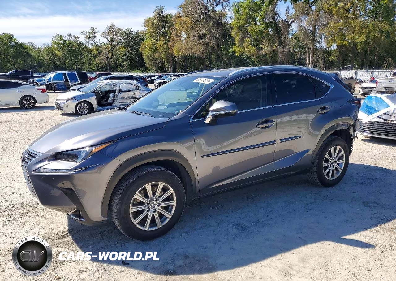 2020 Lexus Nx 300 Base
