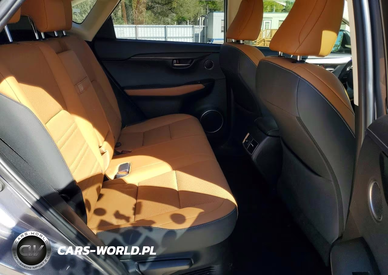 2020 Lexus Nx 300 Base VIN:JTJDARBZ3L5004014 - 11