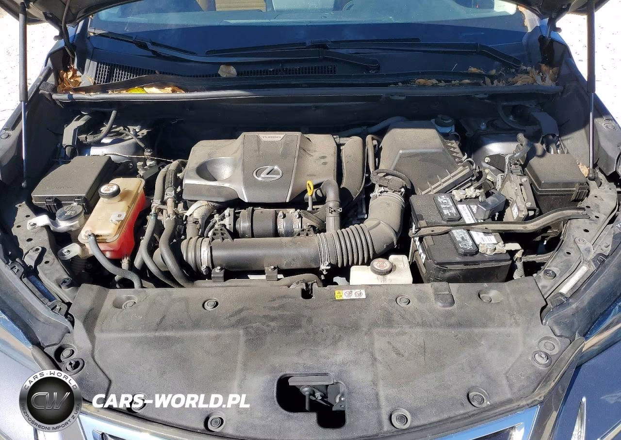 2020 Lexus Nx 300 Base VIN:JTJDARBZ3L5004014 - 12