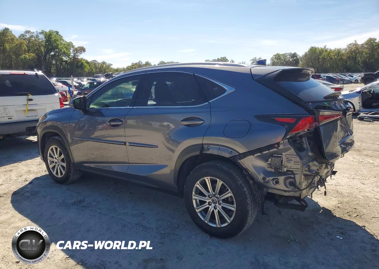 2020 Lexus Nx 300 Base VIN:JTJDARBZ3L5004014 - 2