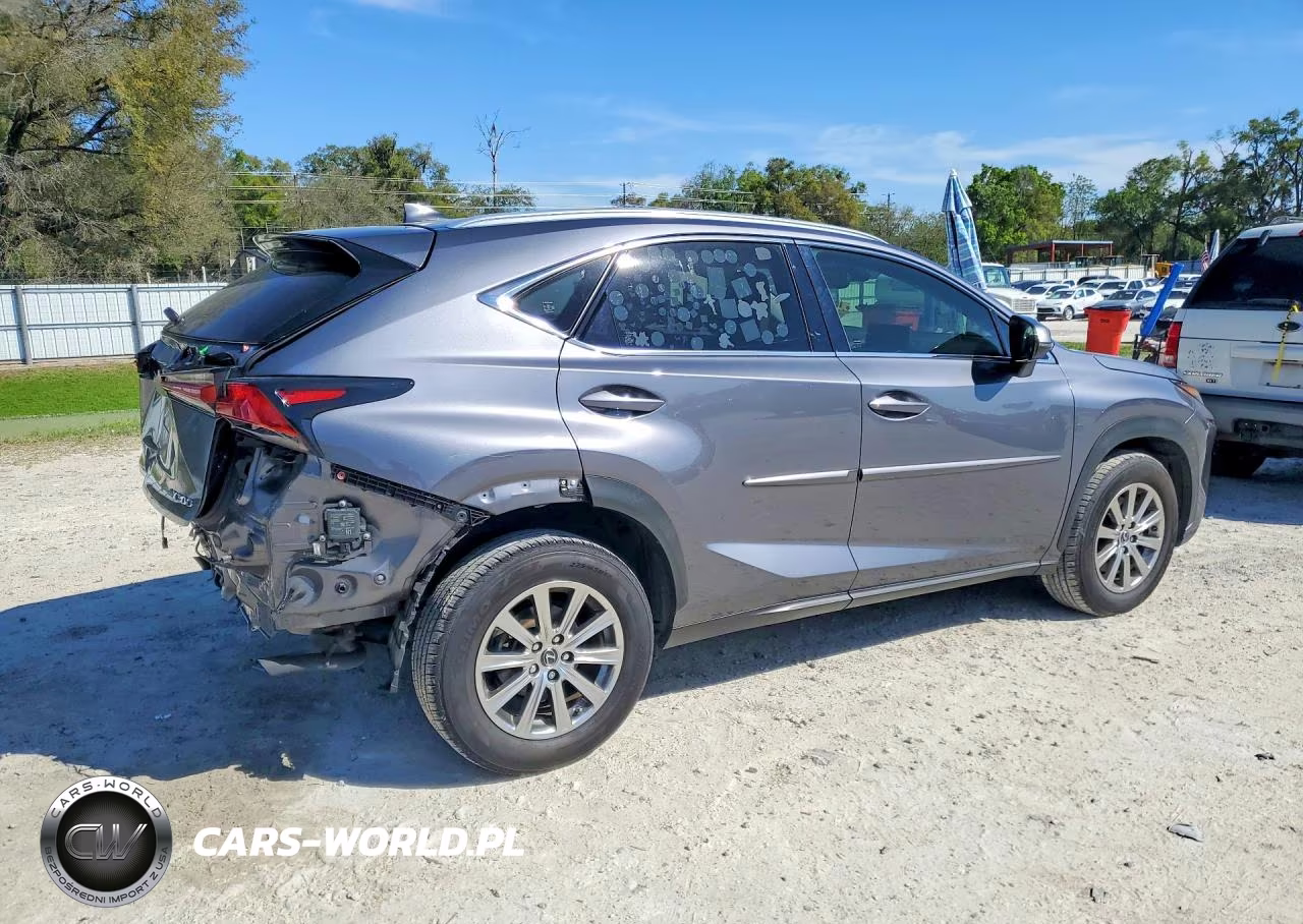 2020 Lexus Nx 300 Base VIN:JTJDARBZ3L5004014 - 3