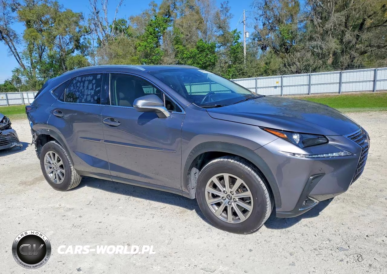 2020 Lexus Nx 300 Base VIN:JTJDARBZ3L5004014 - 4