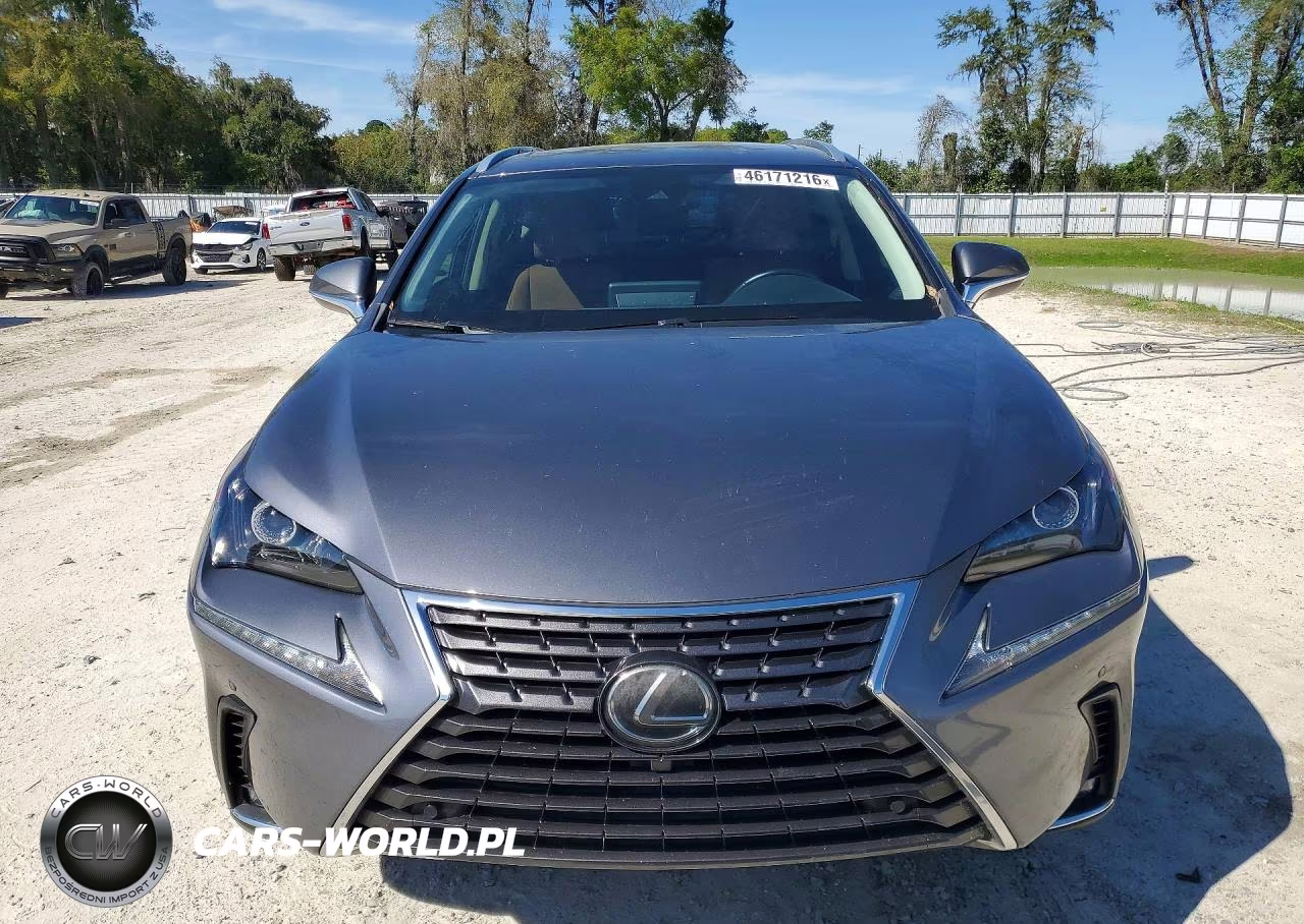 2020 Lexus Nx 300 Base VIN:JTJDARBZ3L5004014 - 5