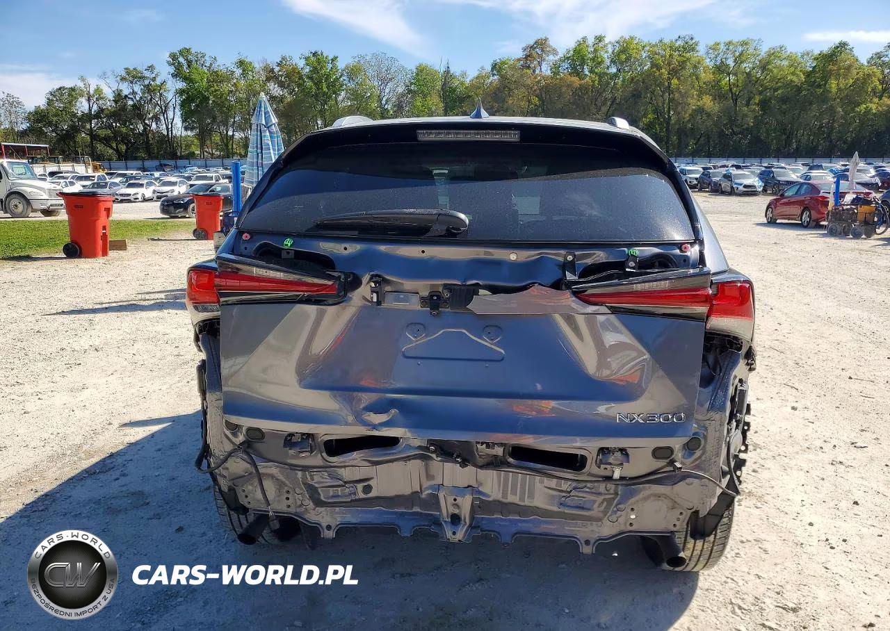 2020 Lexus Nx 300 Base VIN:JTJDARBZ3L5004014 - 6
