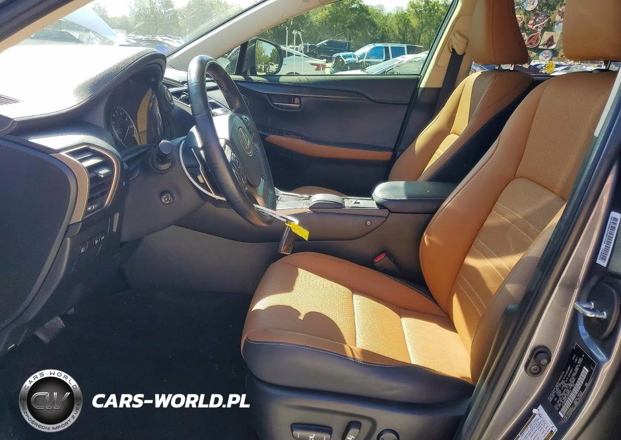 2020 Lexus Nx 300 Base VIN:JTJDARBZ3L5004014 - 7