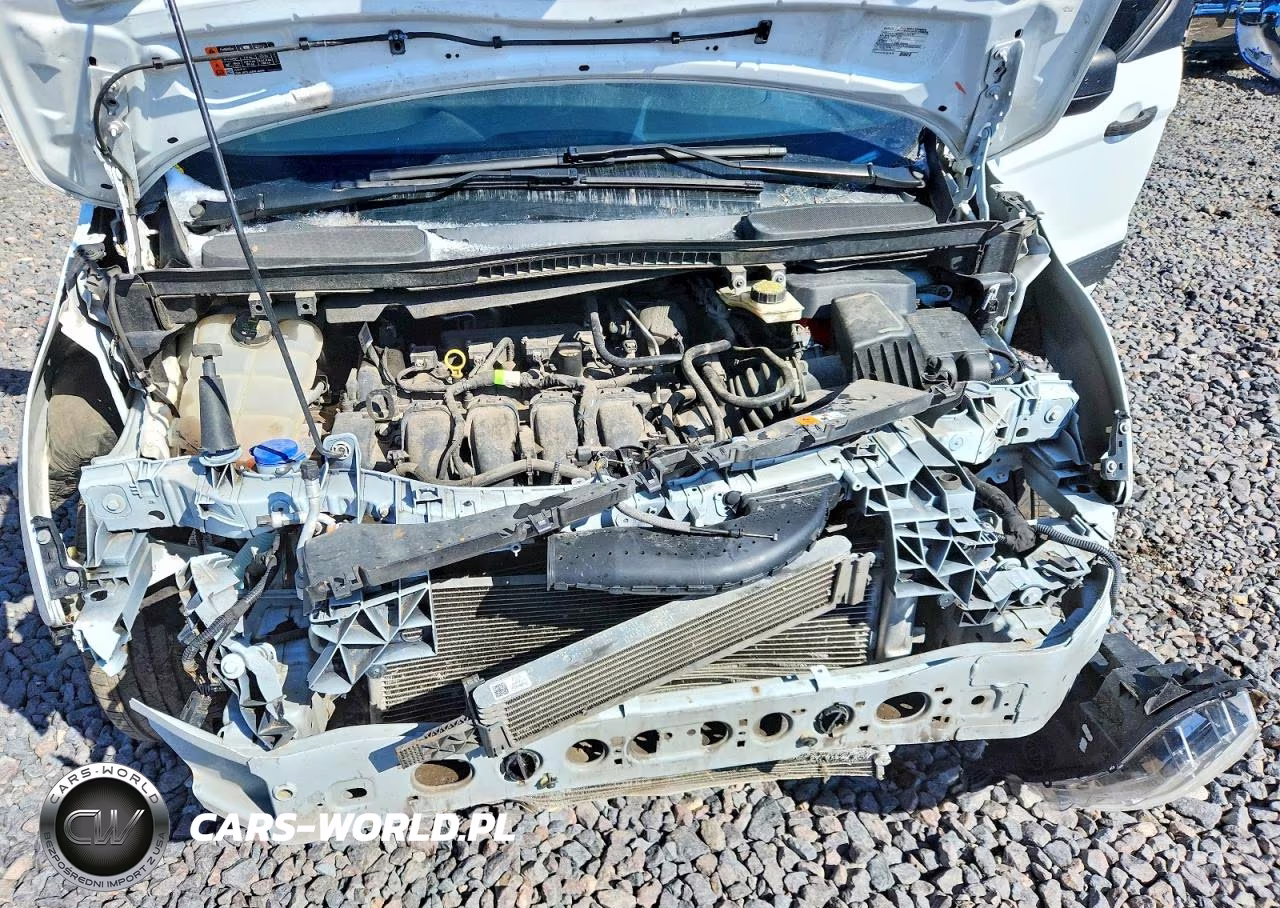2019 Ford Transit Connect Xl VIN:NM0LS7E2XK1397446 - 11