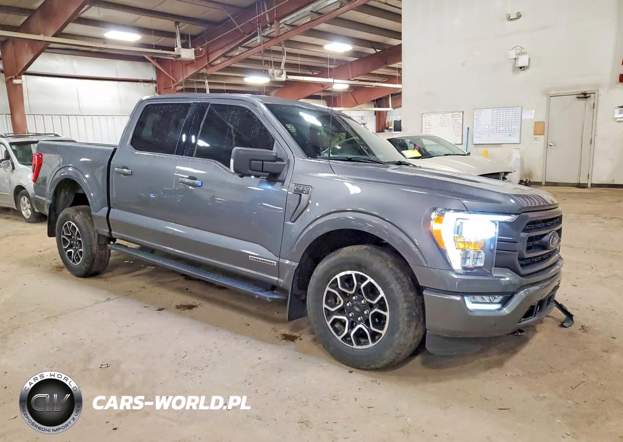 2023 Ford F150 Supercrew VIN:1FTFW1ED8PFD27408 - 4