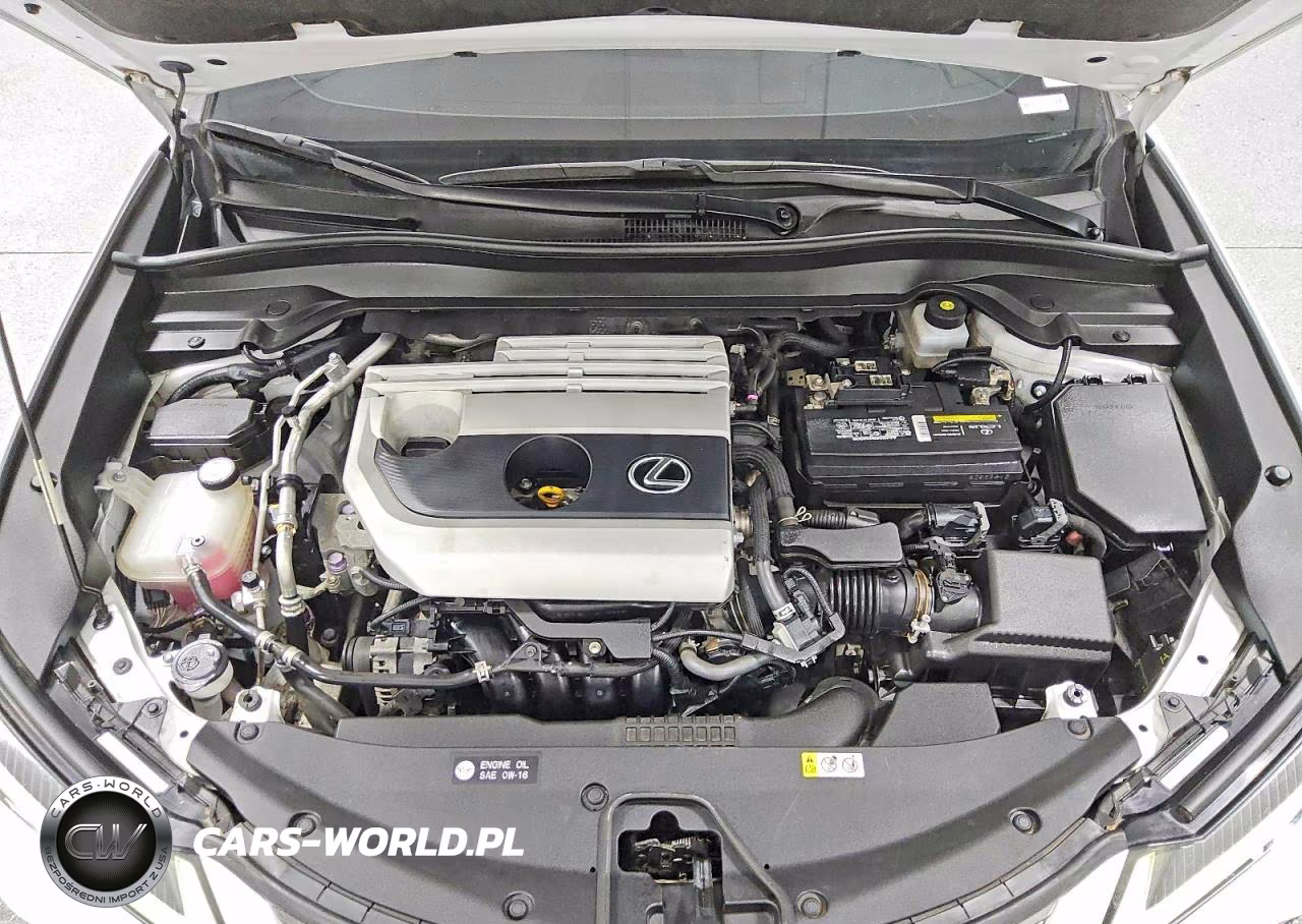 2019 Lexus Ux 200 F Sport VIN:JTHY3JBH1K2007158 - 12