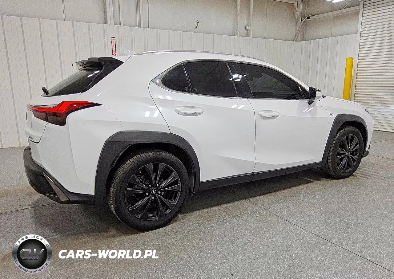 2019 Lexus Ux 200 F Sport VIN:JTHY3JBH1K2007158 - 3