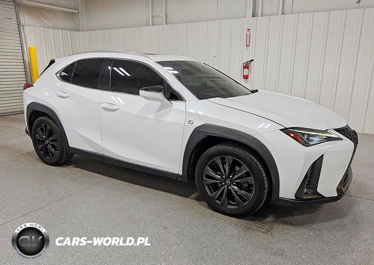 2019 Lexus Ux 200 F Sport VIN:JTHY3JBH1K2007158 - 4