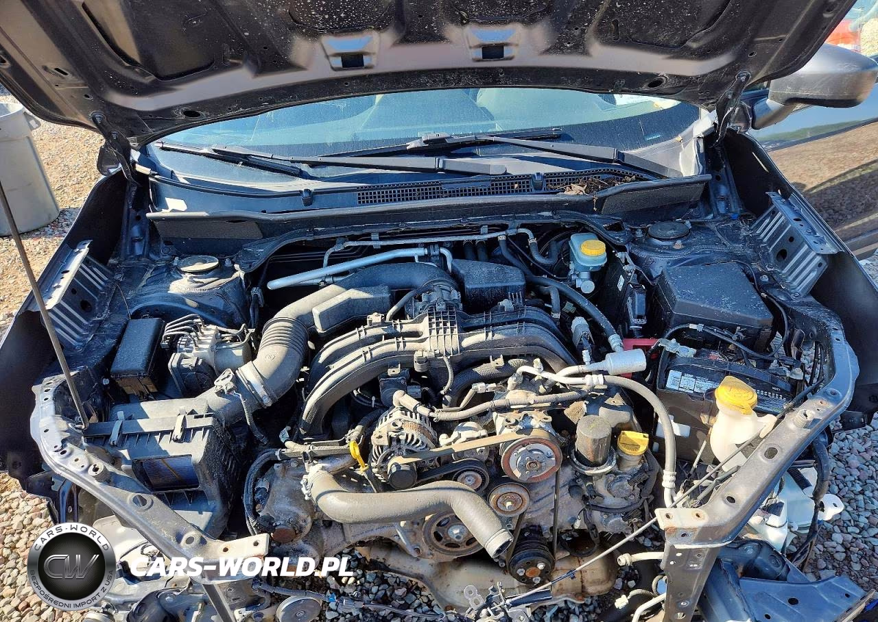 2019 Subaru Forester VIN:JF2SKACC4KH509206 - 12