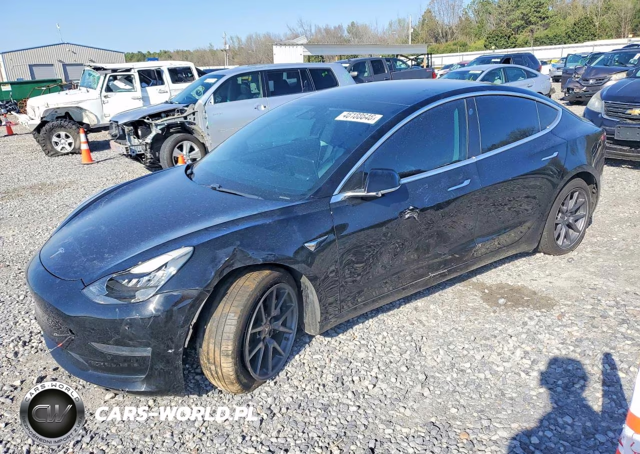 2019 Tesla Model 3