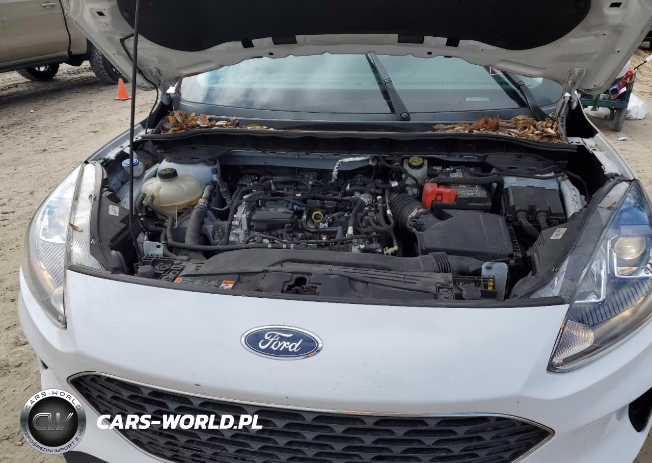 2021 Ford Escape Se VIN:1FMCU0G64MUA66122 - 12