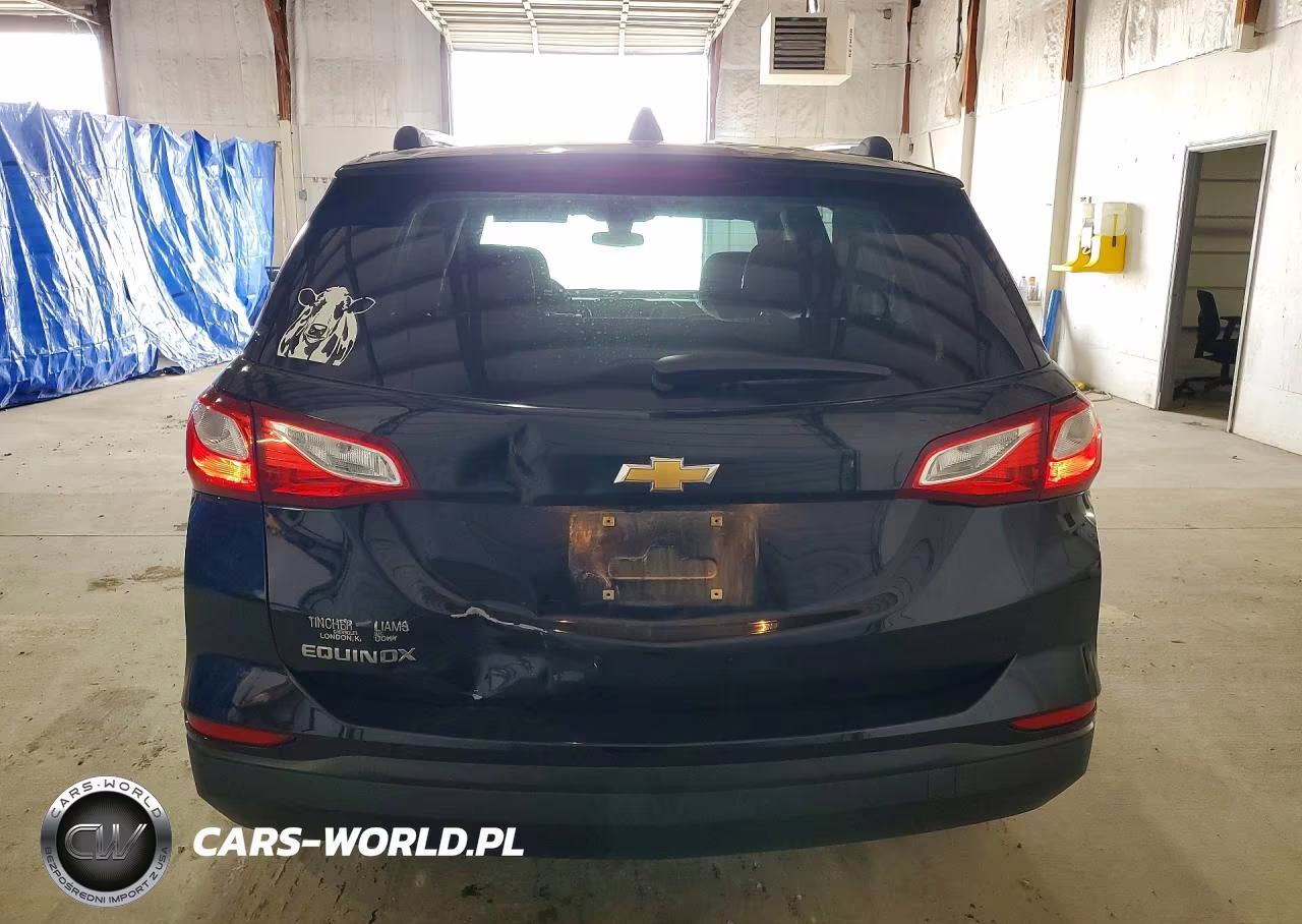 2020 Chevrolet Equinox Ls VIN:2GNAXHEVXL6112018 - 6