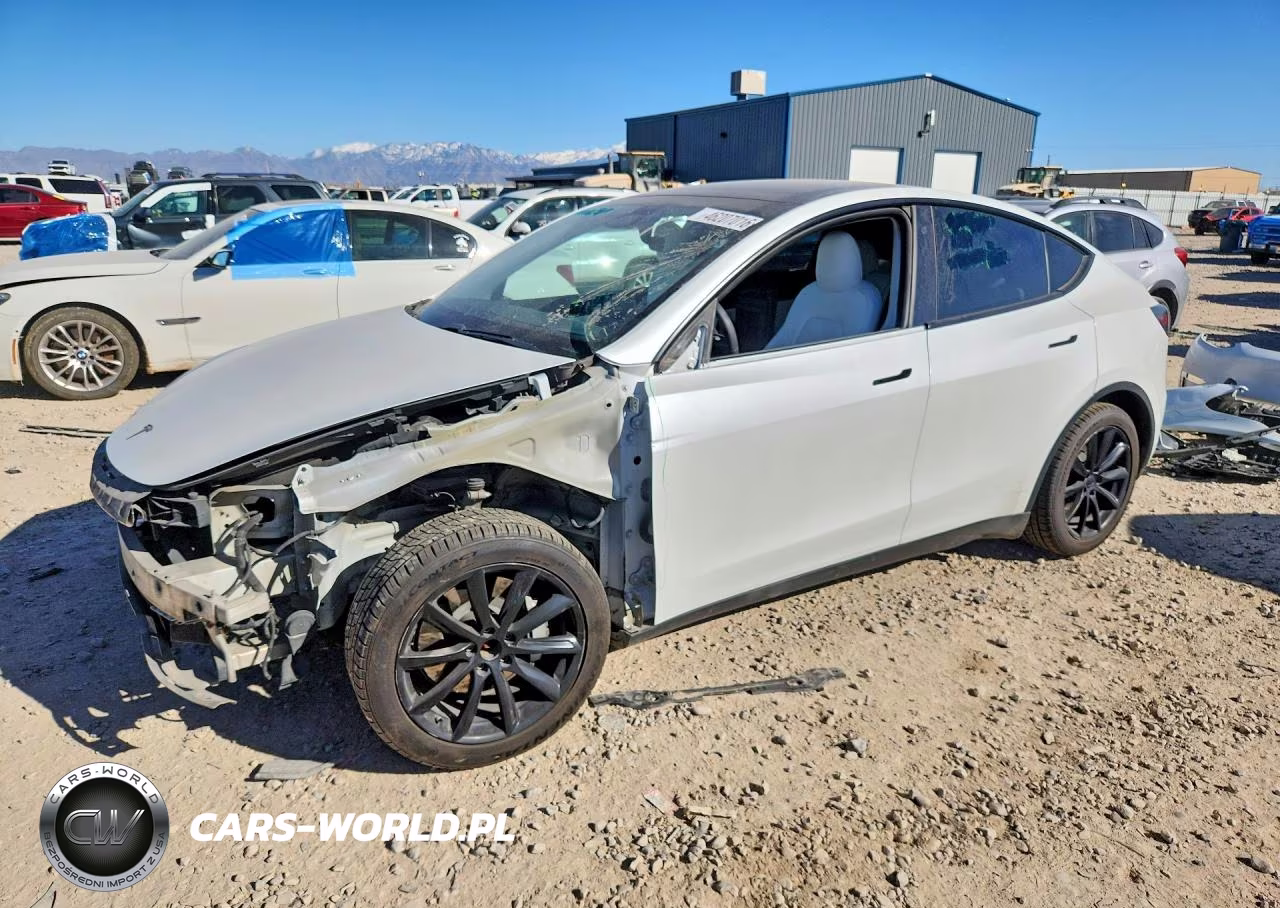 2020 Tesla Model Y