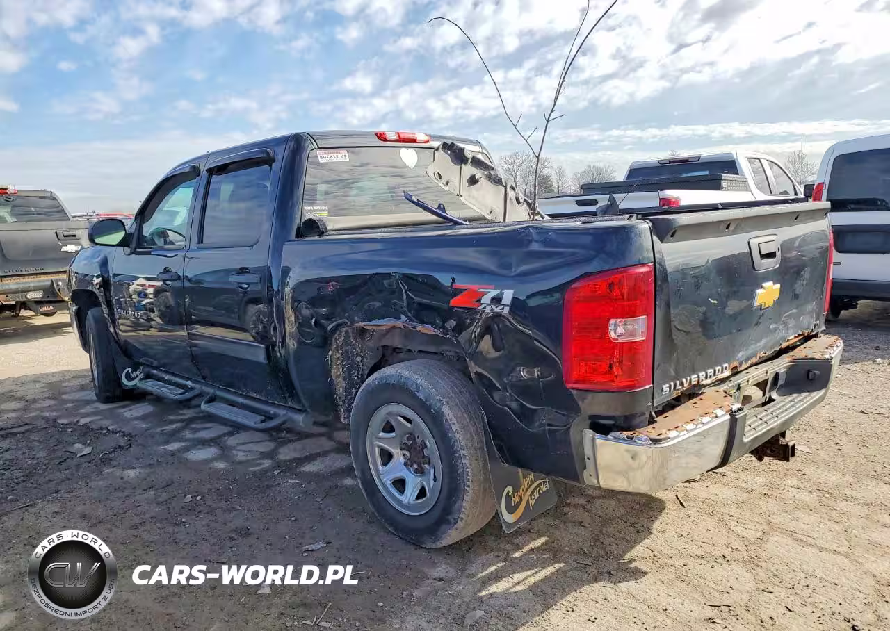 CHEVROLET silverado VIN:3GCPKSE72DG346711 - 2