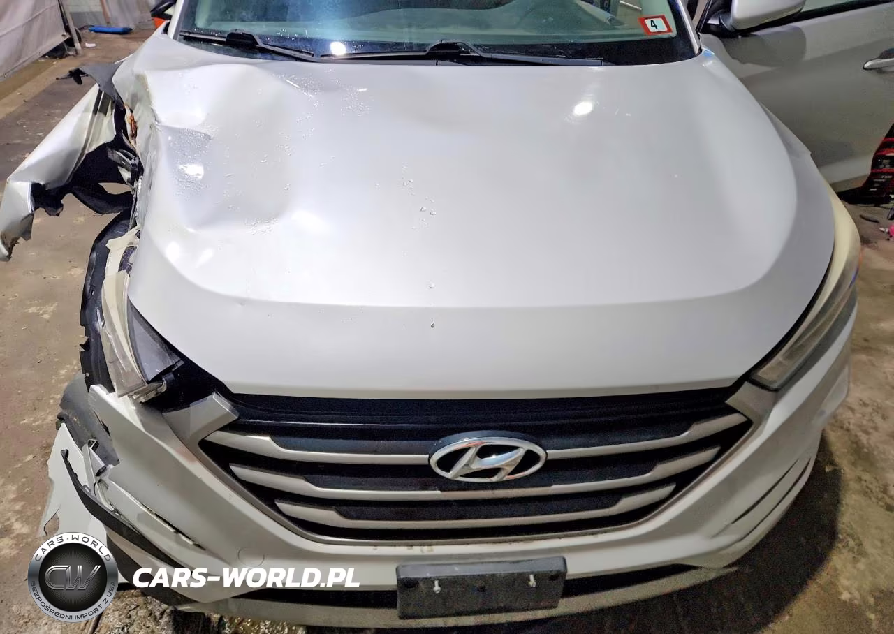 2017 Hyundai Tucson Sport VIN:KM8J3CA25HU296338 - 12