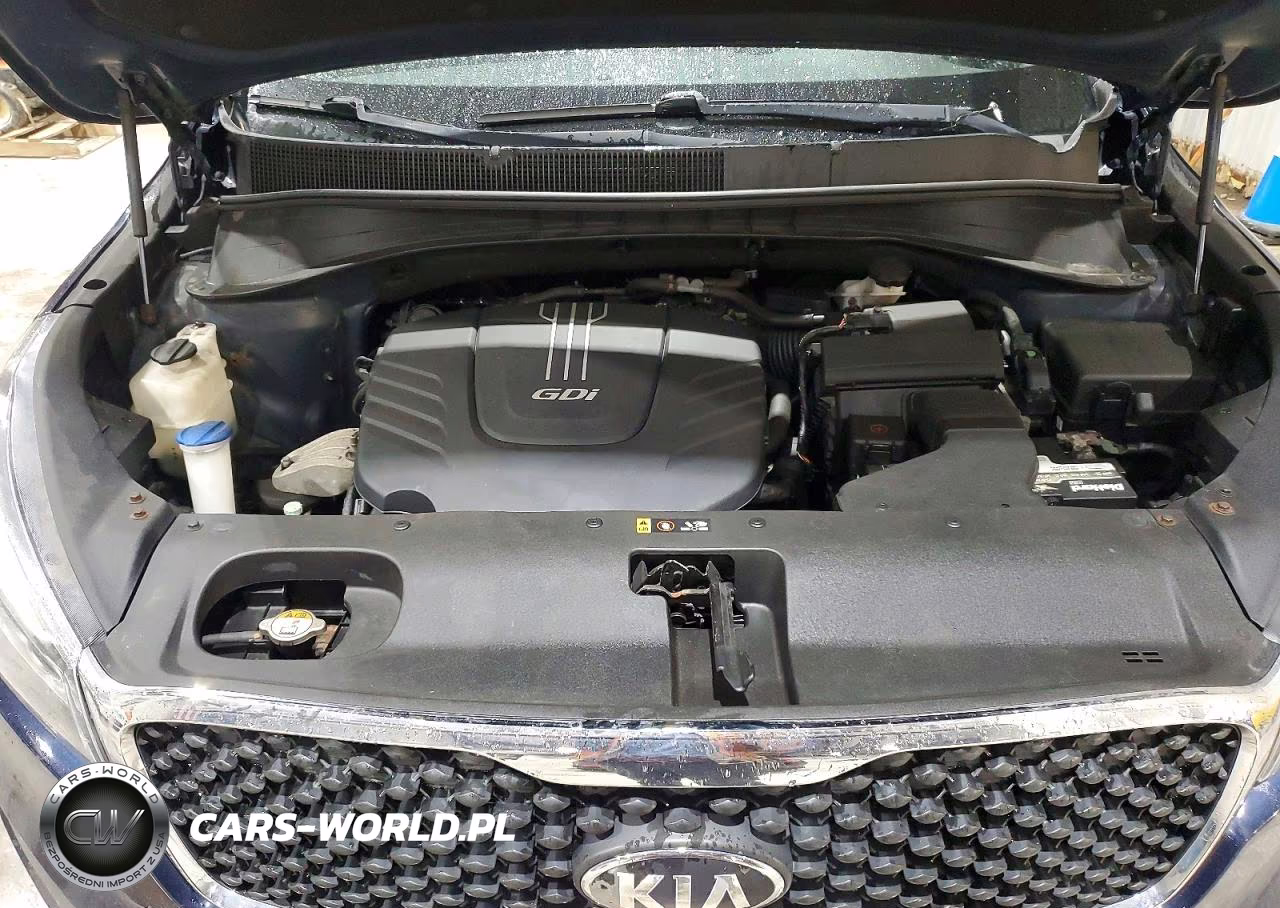2016 Kia Sorento Lx V6 VIN:5XYPGDA58GG093186 - 12