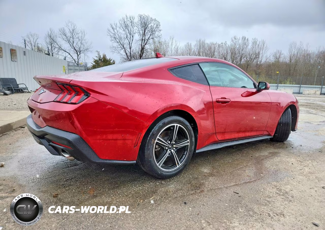 2024 Ford Mustang VIN:1FA6P8TH1R5121194 - 3