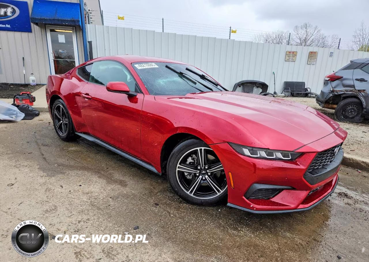 2024 Ford Mustang VIN:1FA6P8TH1R5121194 - 4