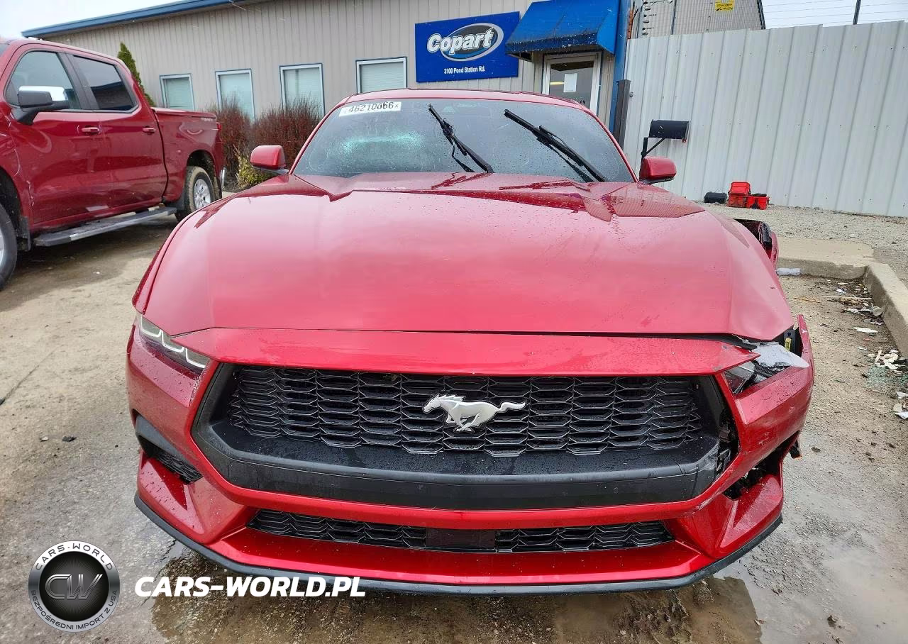 2024 Ford Mustang VIN:1FA6P8TH1R5121194 - 5