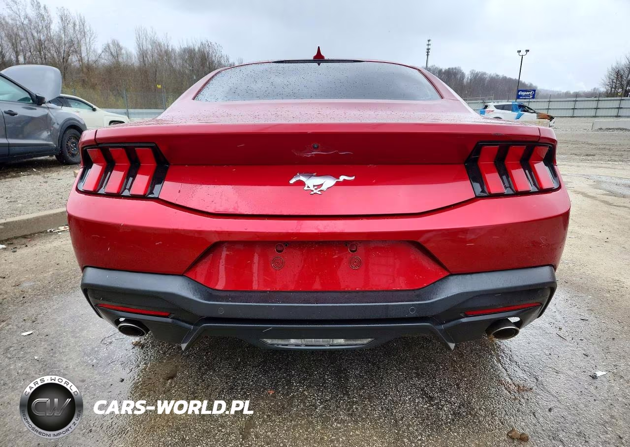 2024 Ford Mustang VIN:1FA6P8TH1R5121194 - 6