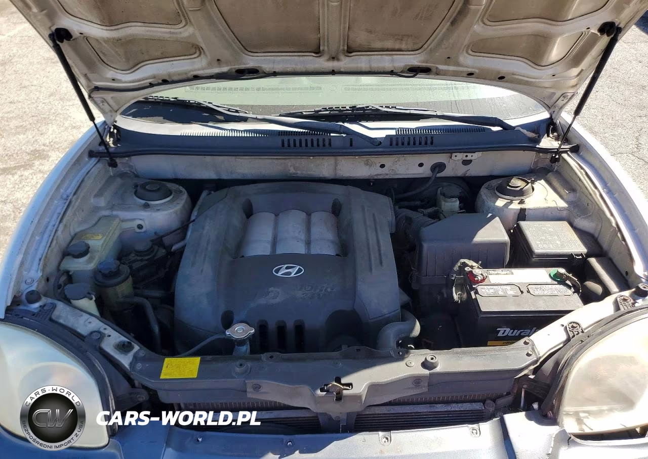 2002 Hyundai Santa Fe Gls VIN:KM8SC13D52U287315 - 12