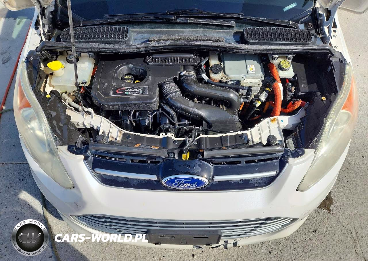 2013 Ford C-Max Premium VIN:1FADP5CU3DL531325 - 12