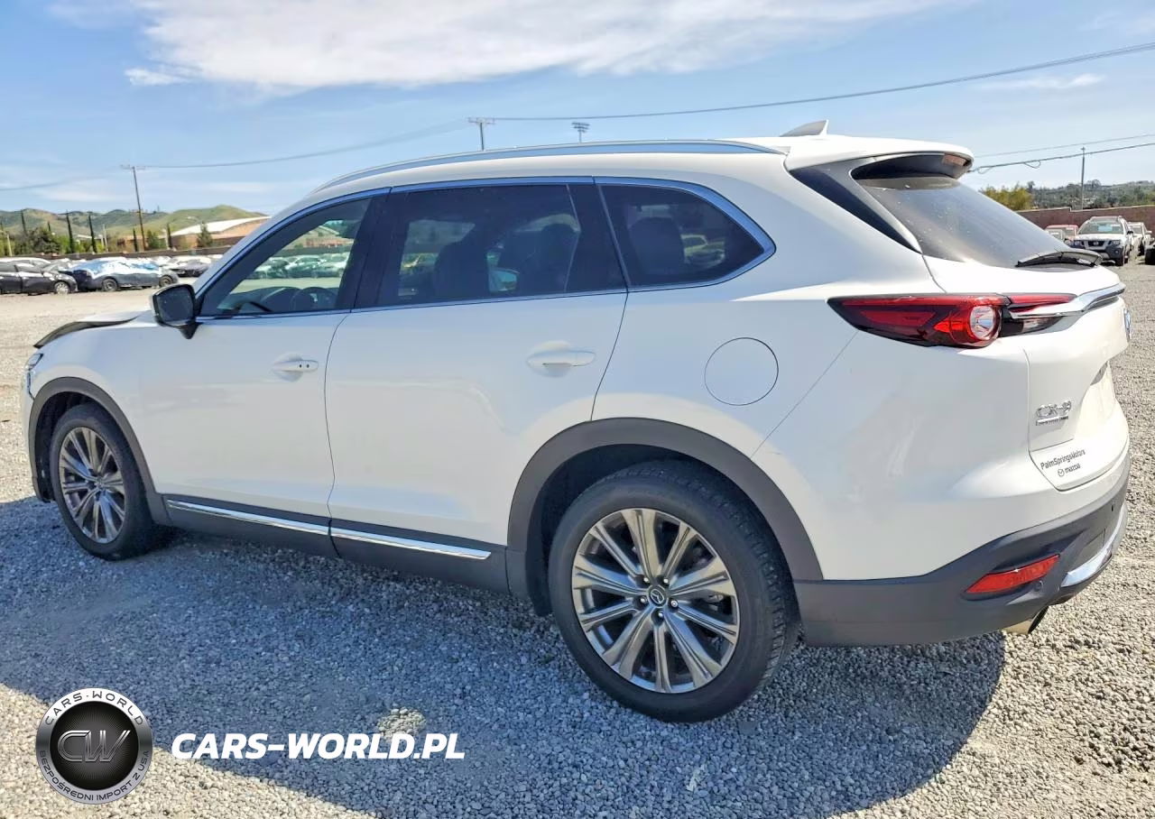 2023 Mazda Cx-9 Signature VIN:JM3TCBEY4P0637411 - 2