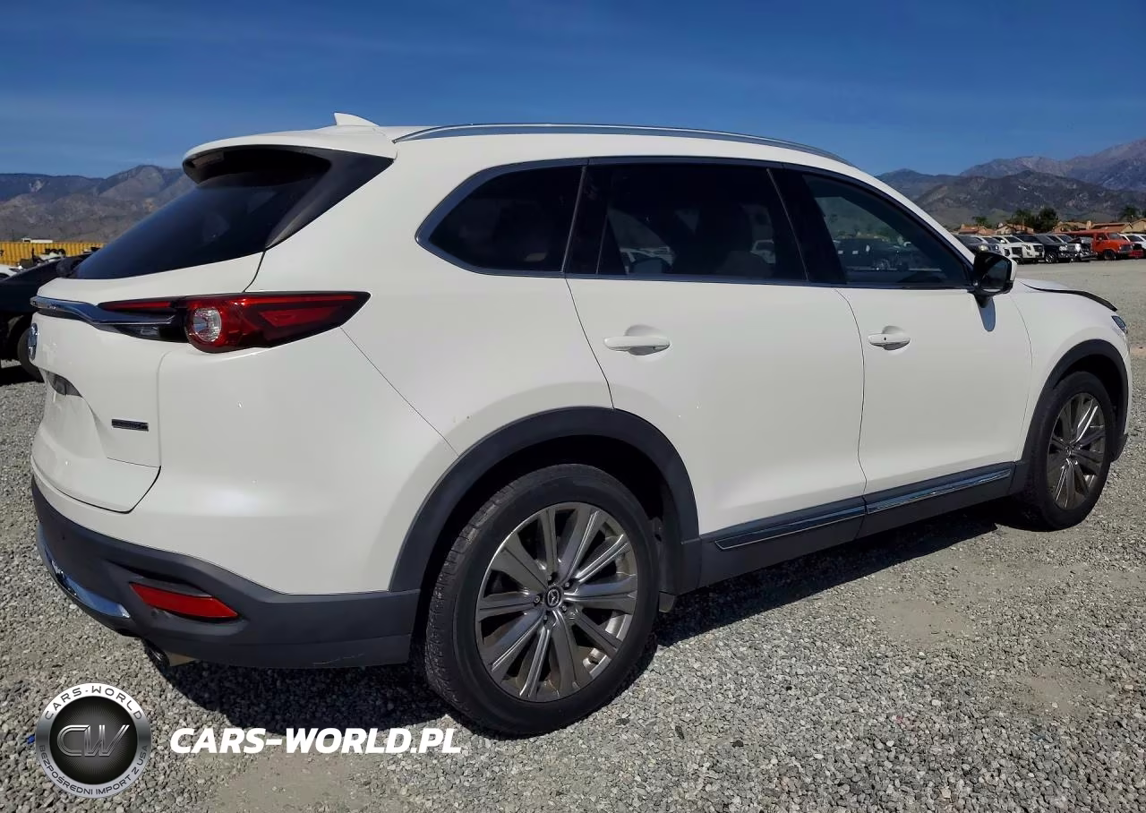 2023 Mazda Cx-9 Signature VIN:JM3TCBEY4P0637411 - 3