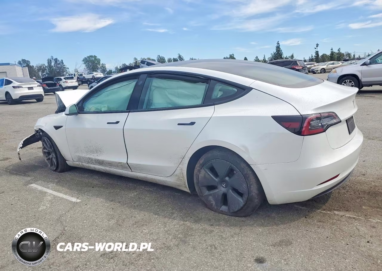 2023 Tesla Model 3 VIN:5YJ3E1EA9PF395698 - 2