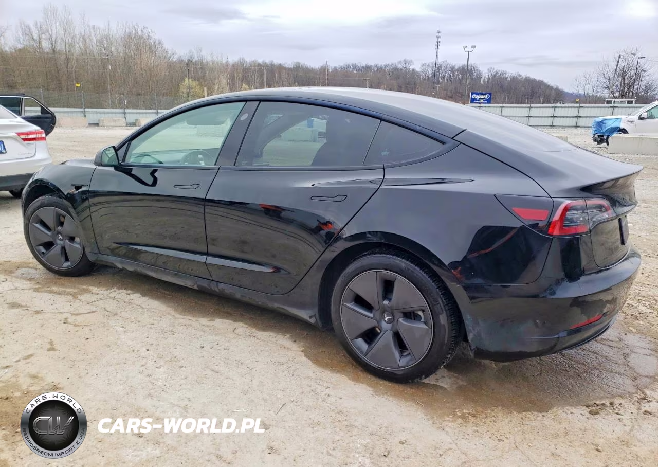 2023 Tesla Model 3 VIN:5YJ3E1EA5PF613376 - 2
