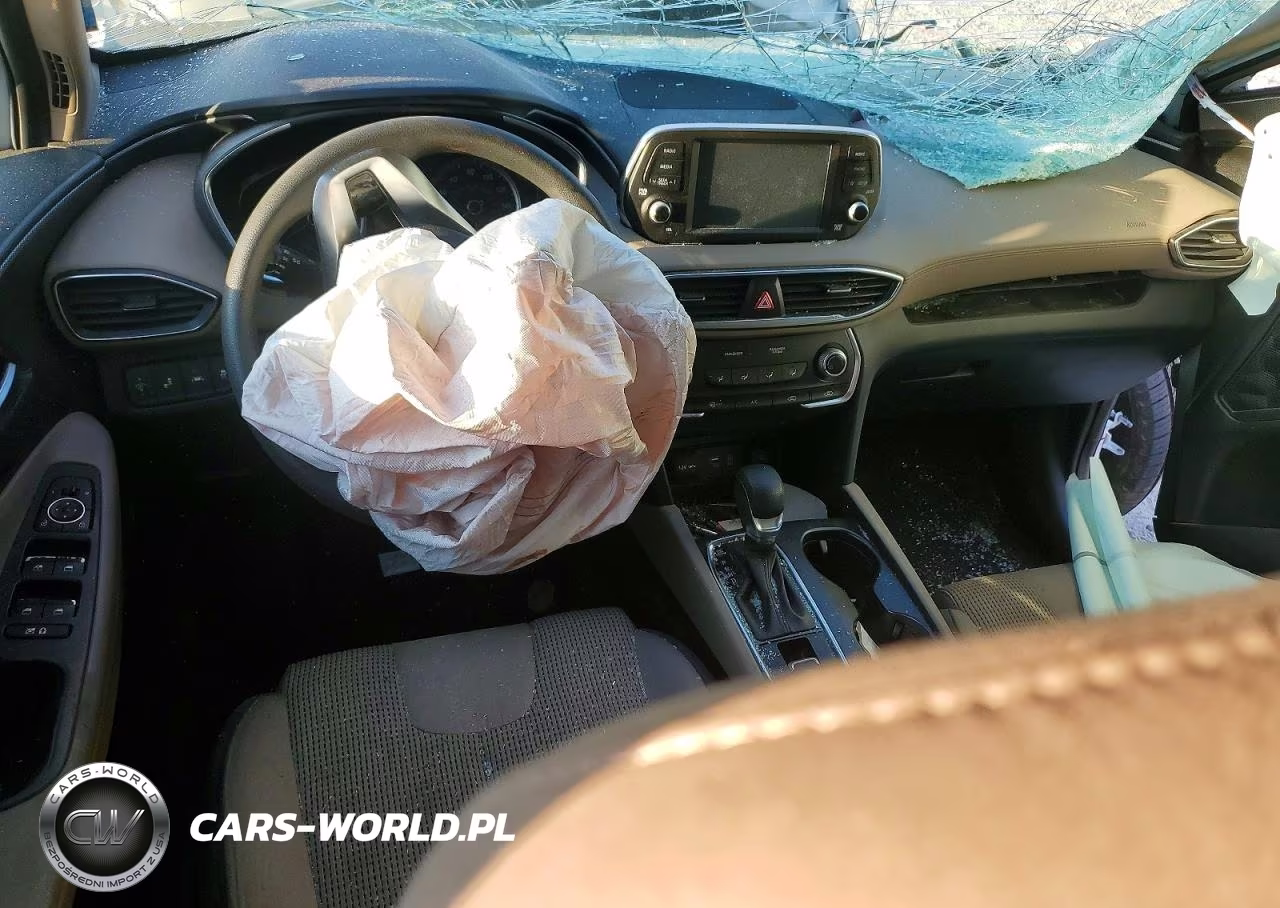 2019 Hyundai Santa Fe Se 2.4L VIN:5NMS23AD9KH078477 - 8