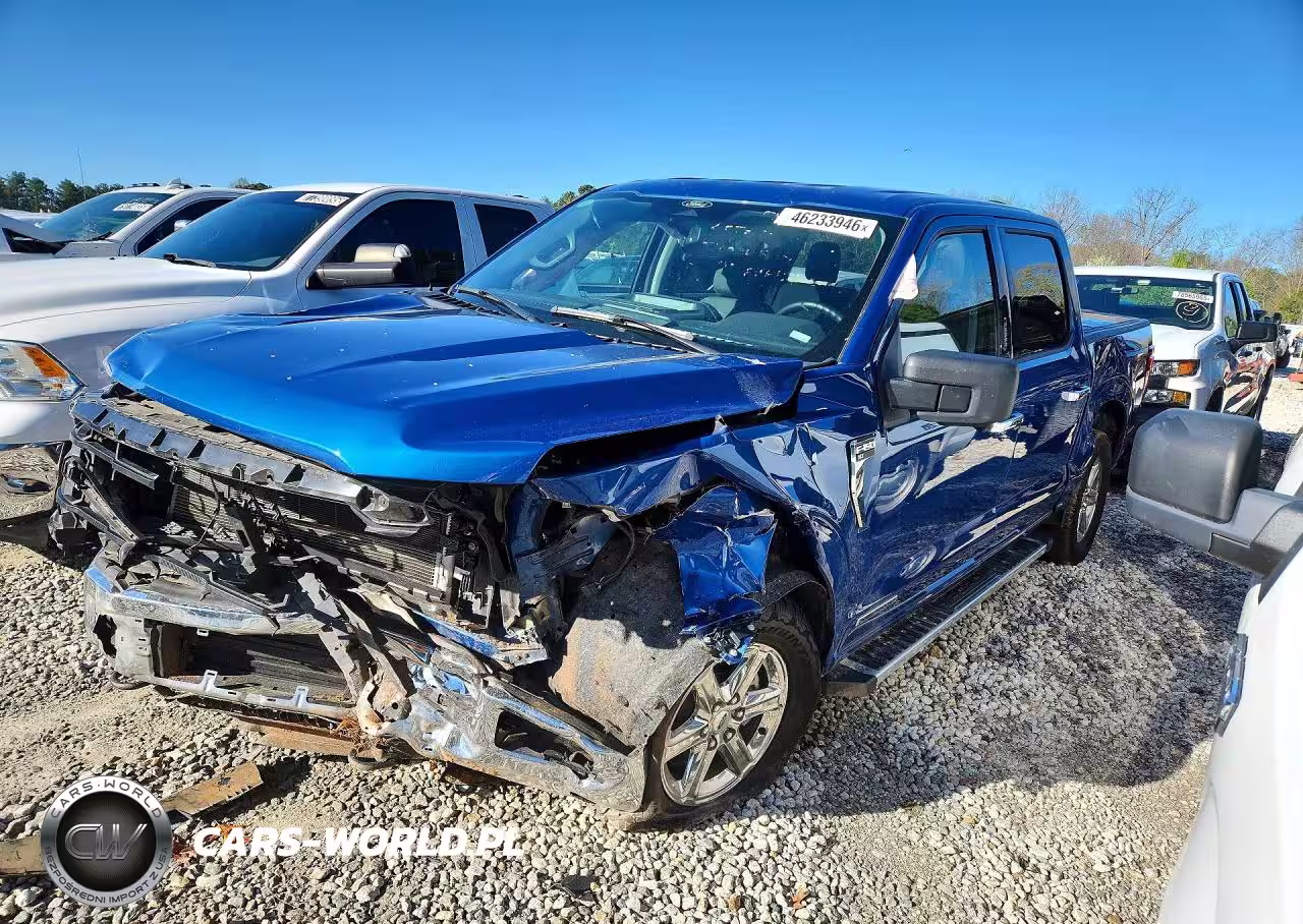 2024 Ford F150 Xlt