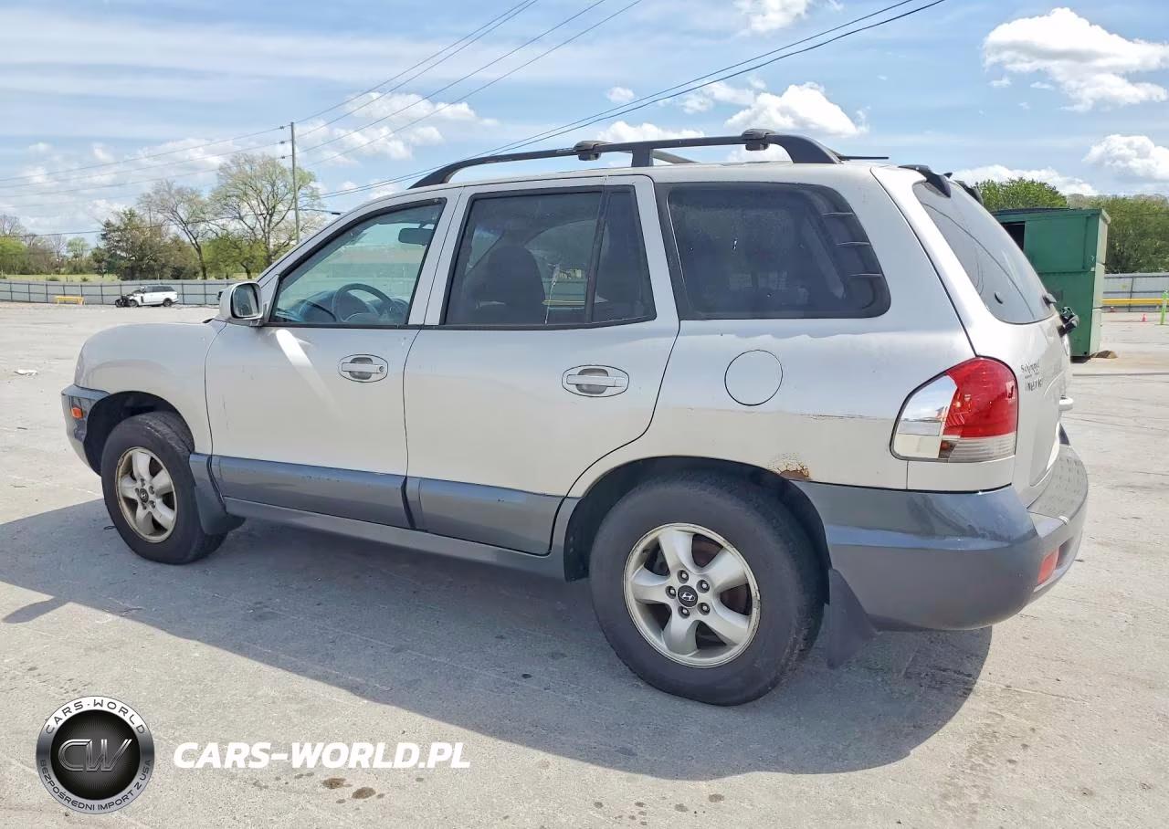 2005 Hyundai Santa Fe VIN:KM8SC73EX5U863061 - 2