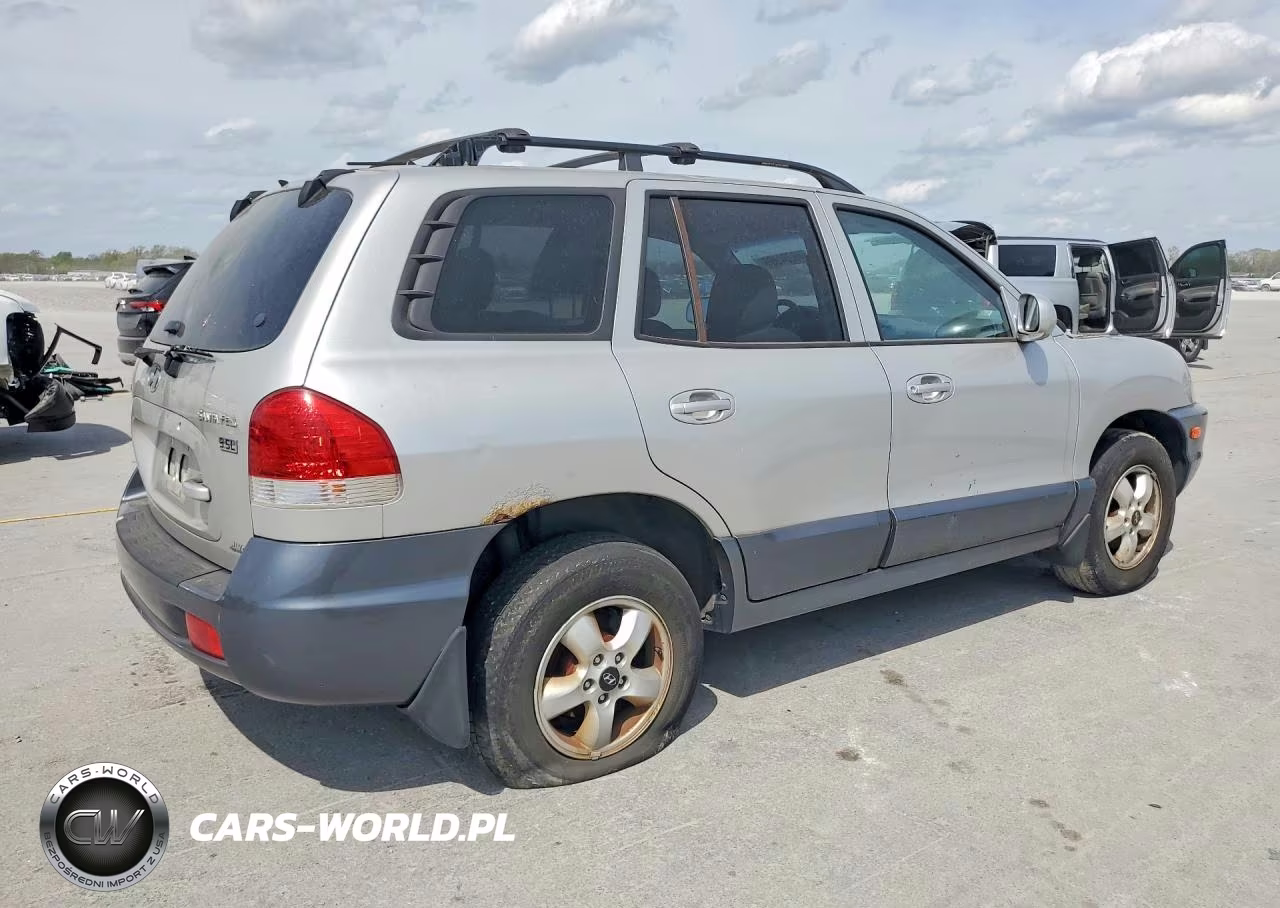 2005 Hyundai Santa Fe VIN:KM8SC73EX5U863061 - 3