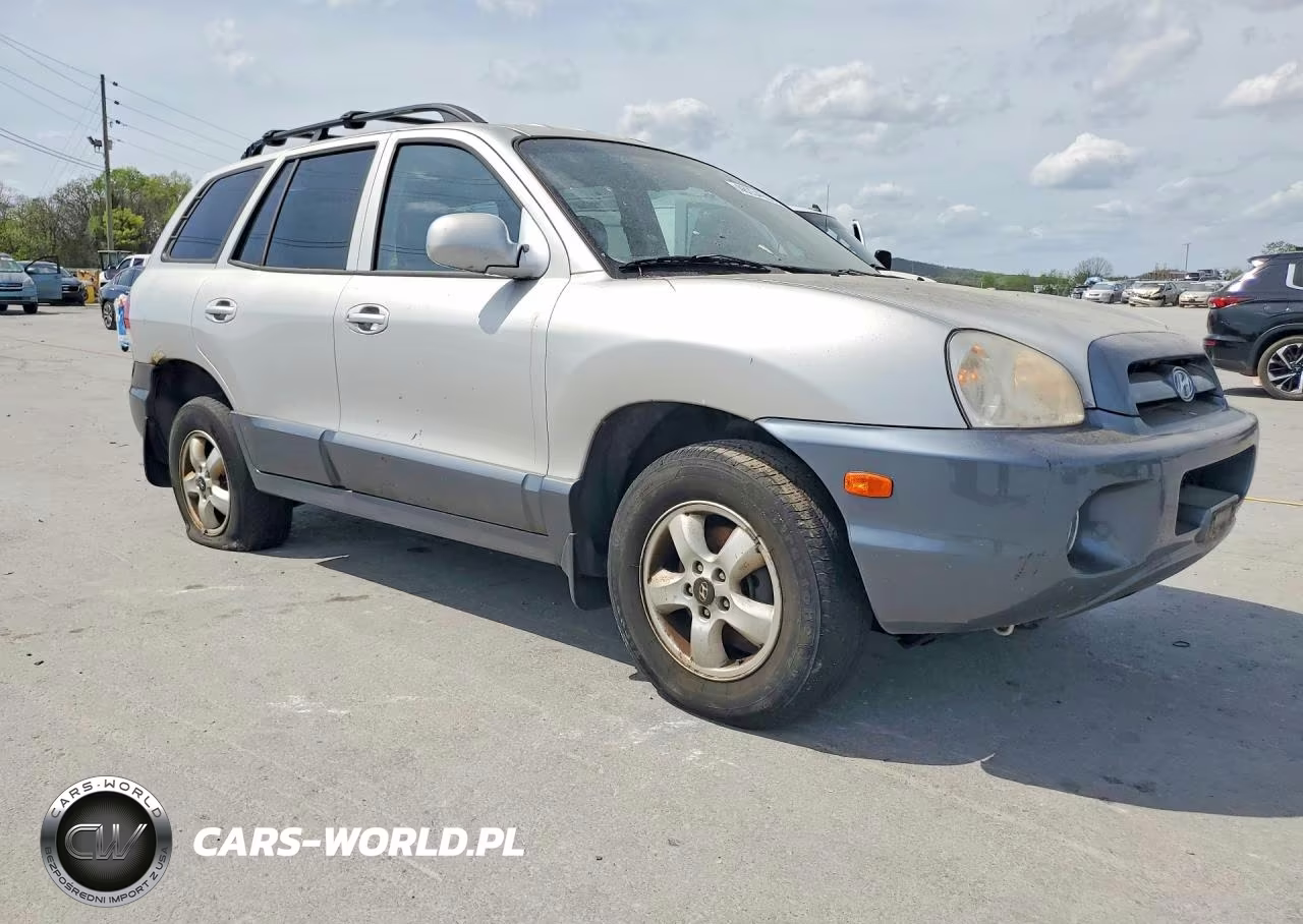 2005 Hyundai Santa Fe VIN:KM8SC73EX5U863061 - 4
