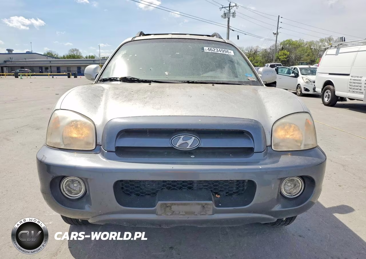 2005 Hyundai Santa Fe VIN:KM8SC73EX5U863061 - 5