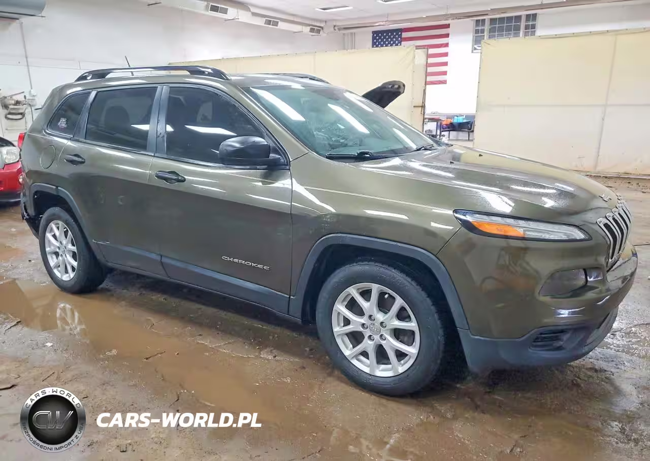 2016 Jeep Cherokee Sport VIN:1C4PJLAB5GW114158 - 4